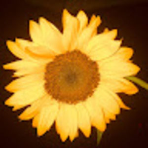 Meet your Posher, Marilyn